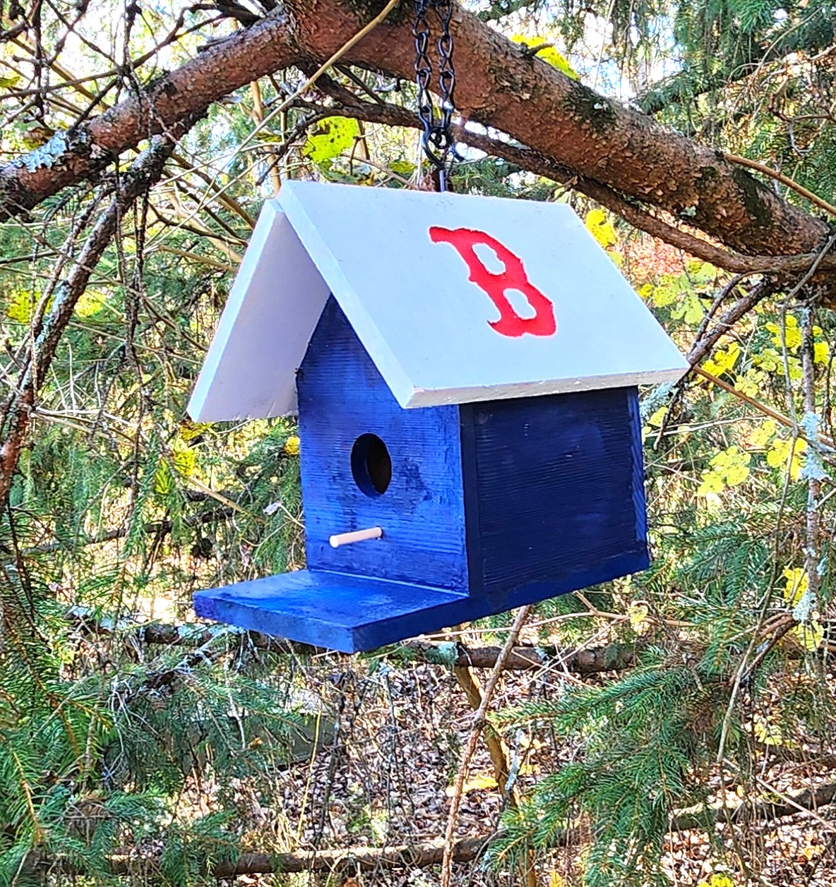 Boston Red Sox Bird House